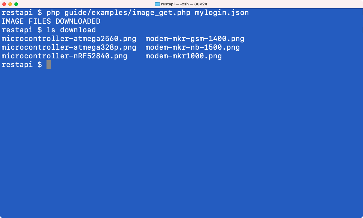 Terminal Window: Image Download