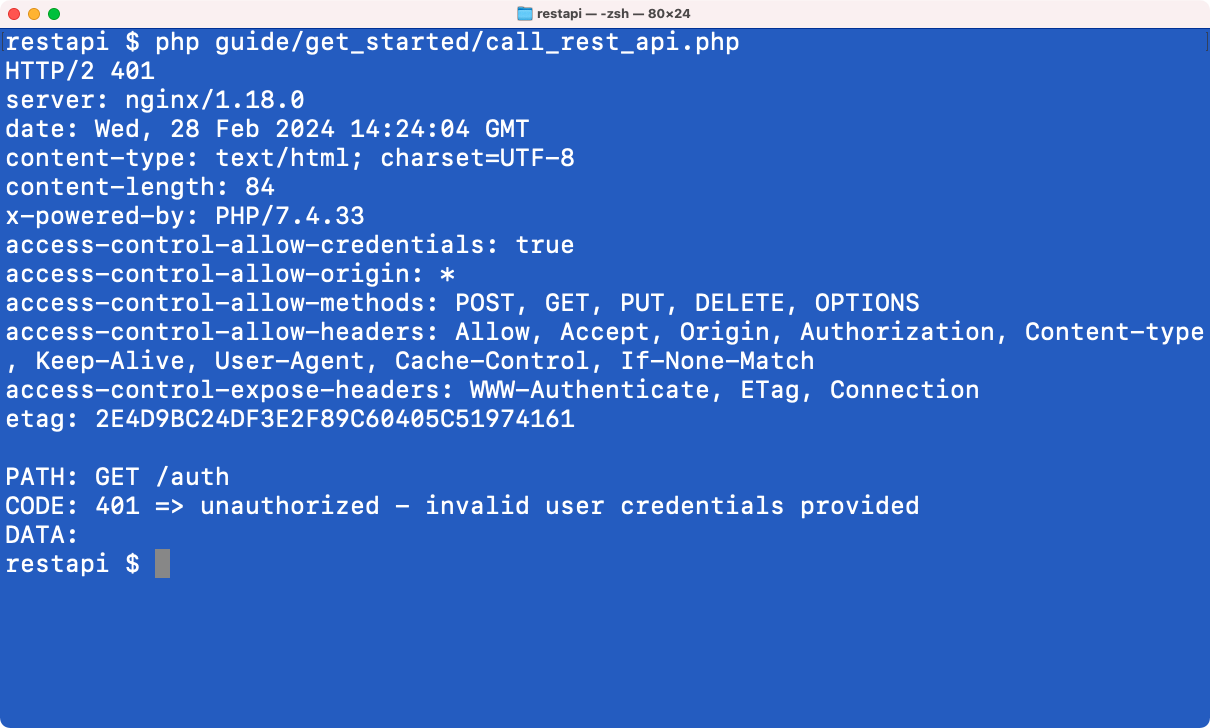 Terminal Window: Unauthorized call